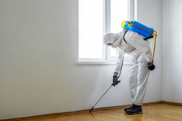 Trusted New York Mills, MN Pest Control Experts